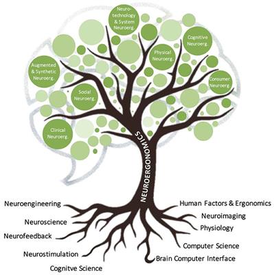 Brain at Work and in Everyday Life as the Next Frontier: Grand Field Challenges for Neuroergonomics